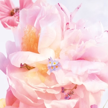 Miss Dior Blooming Bouquet Eau De Toilette 150ml